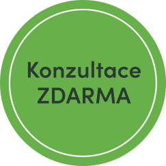 Konzultace